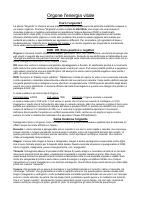 Anonimo-Orgonite.pdf